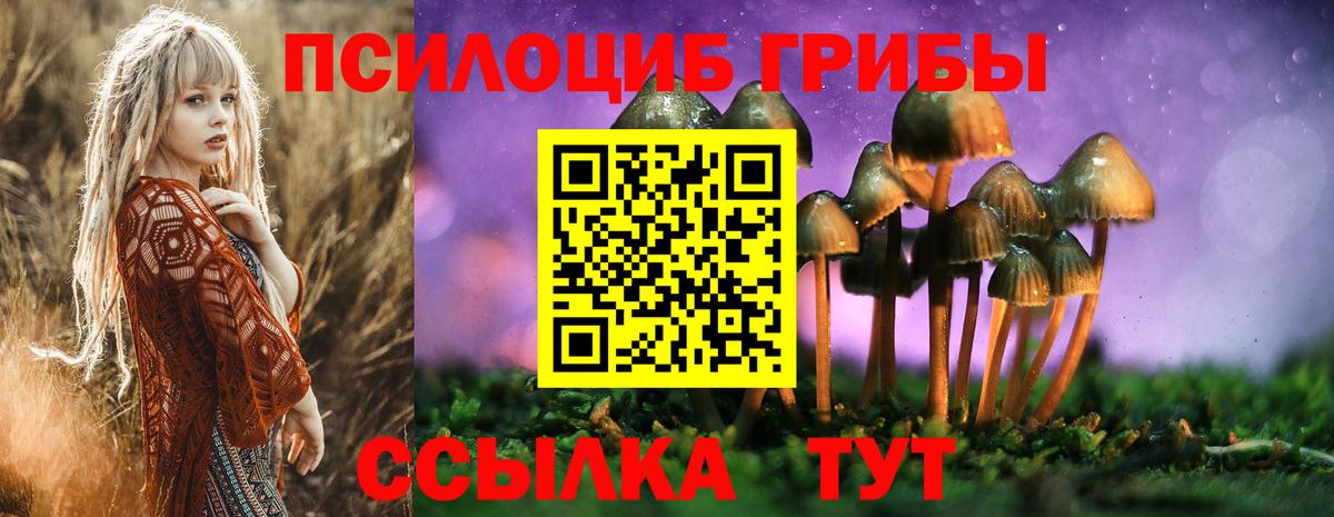 Сердобск  Галлюциногенные грибы мицелий  Псилоцибиновые грибы прущие грибы  Вход с VPN 