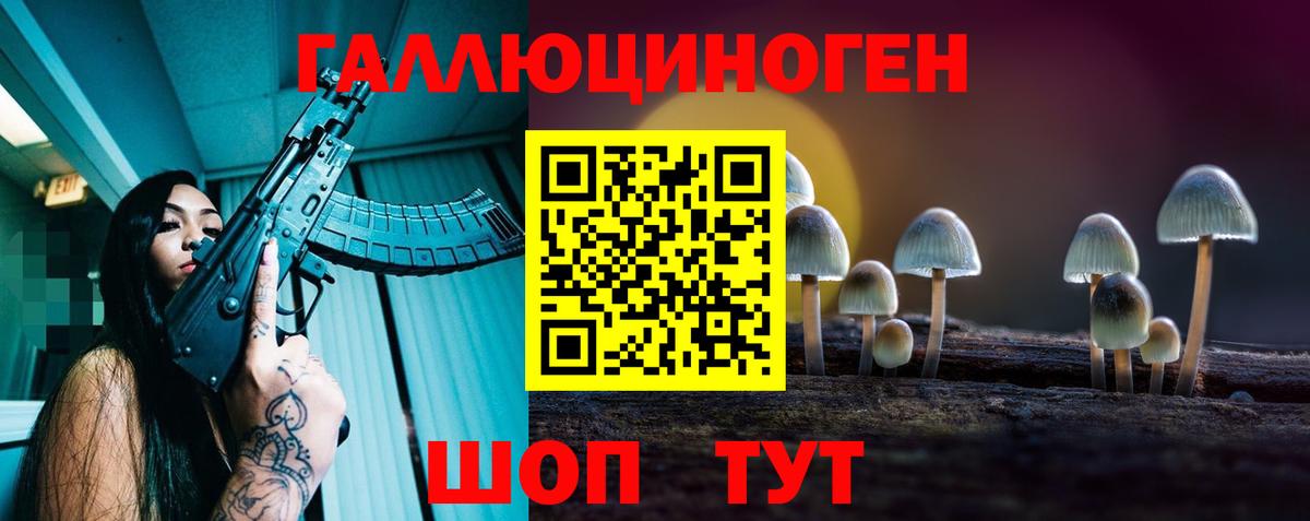 Галлюциногенные грибы Psilocybe Сердобск